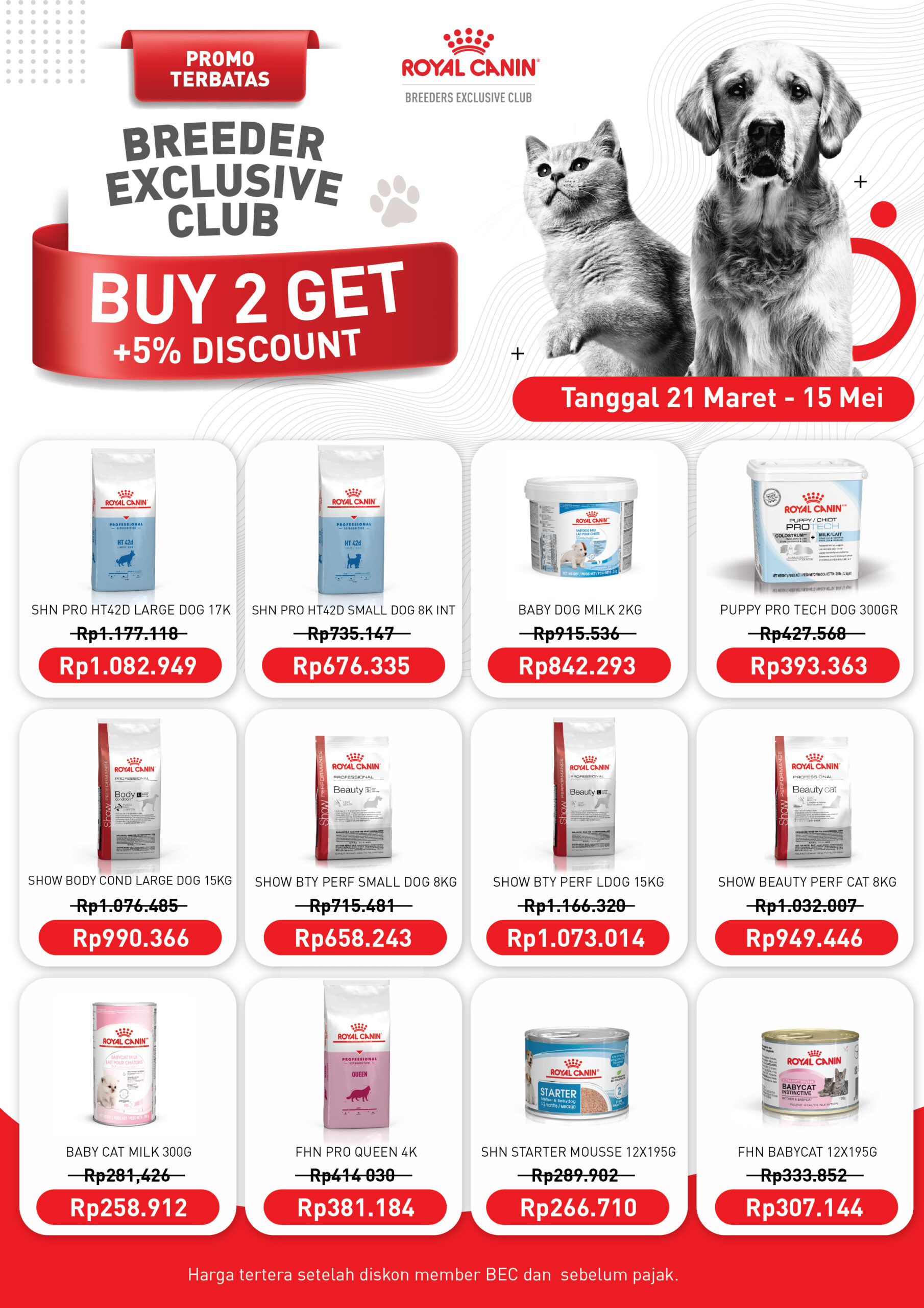 flyer promo cat dog-01